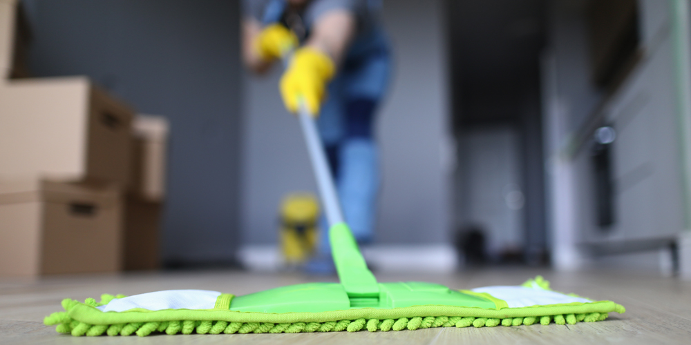 Paradise Movers Cleaning Services