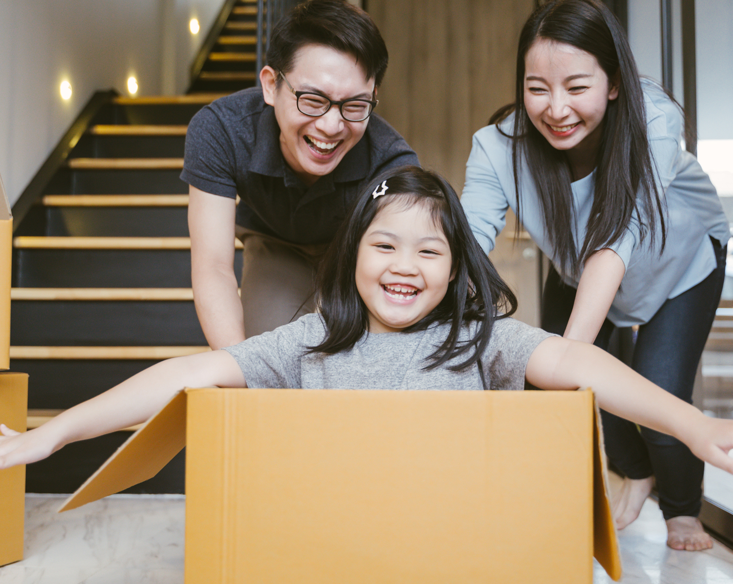 Paradise Movers - Movers in North York